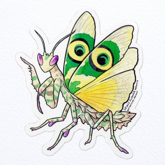 3 for $15 - Spiny Flower Praying Mantis Sticker -‎ Waterproof Vinyl - Picture 1 of 1